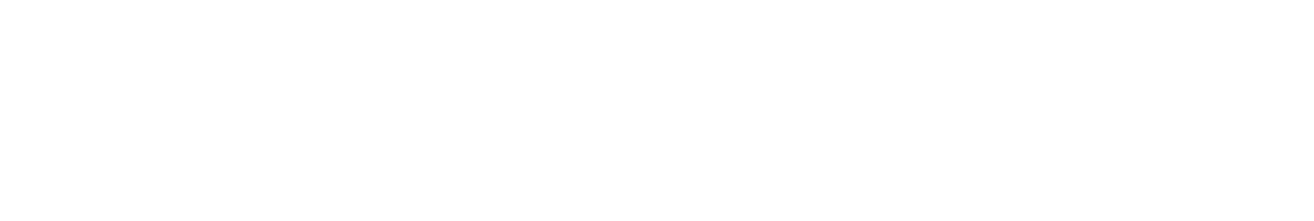 LOGO YATAY BEYAZ 1